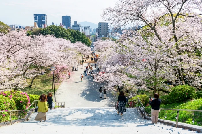 Japonia / Foto: Shutterstock