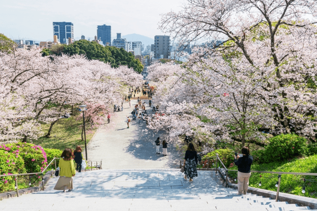 Reguli nescrise pentru turiștii care vizitează Japonia. Au transformat țara într-un loc pe care toți îl invidiază! Ce trebuie să faci obligatoriu când ești la masă sau în lift