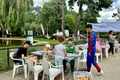 Bazilescu animat 2 1024x576 jpeg