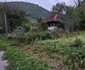 Bulzestii de sus, Hunedoara Foto Daniel Guță ADEVĂRUL (8) jpg