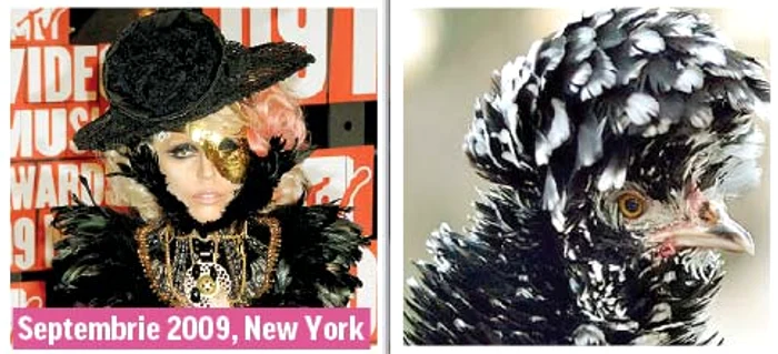 Martie 2014, New York (Fotografii: guliver/ splashnews/ photoland/ wenn/ reuters)