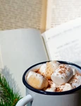bookzone 245676 png
