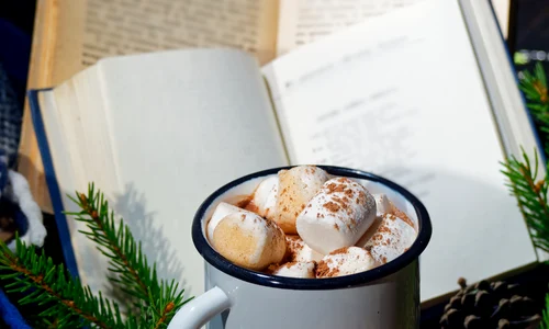 bookzone 245676 png