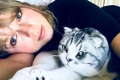 pisica taylor 4 instagram jpg
