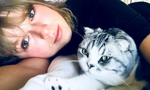 pisica taylor 4 instagram jpg