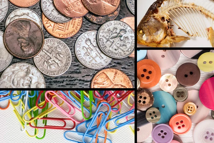 Fotografii: Webmd.com