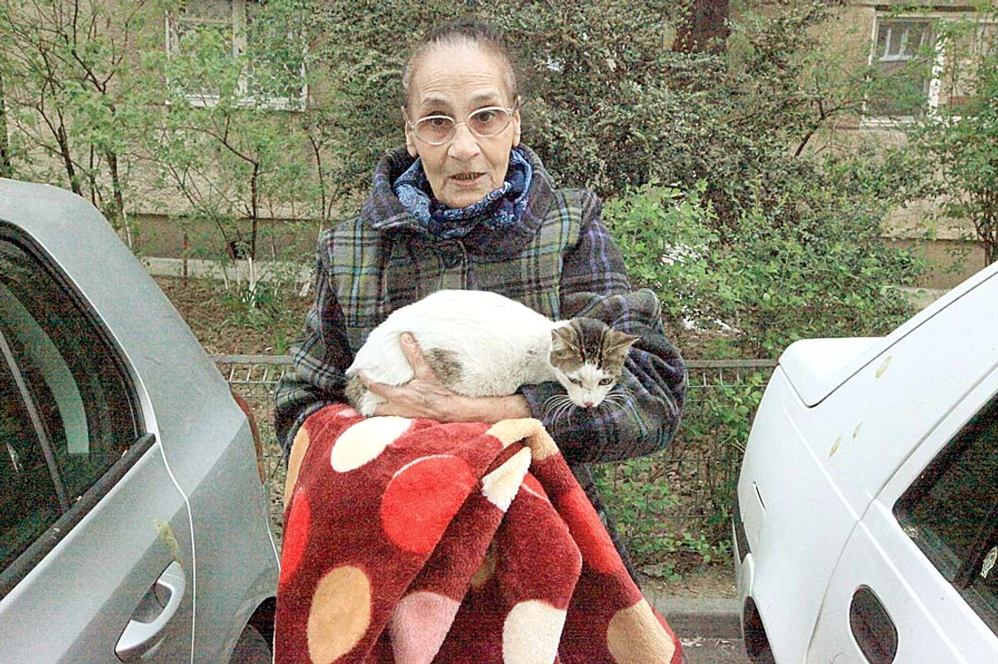Floarea Vâlcu a avut grijă să ducă imediat pisica la veterinar