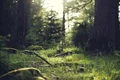 test png