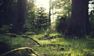 test png