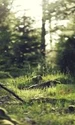 test png