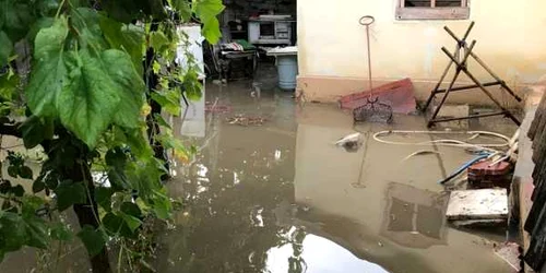 inundatii constanta