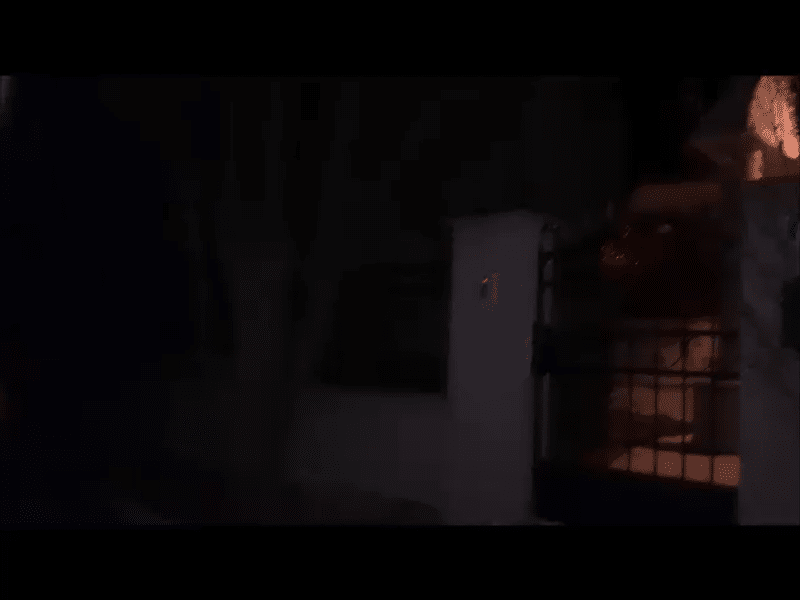 Morișca șpăgilor la frontierele României. De ce este mai ieftin să intri în țară decât să ieși VIDEO