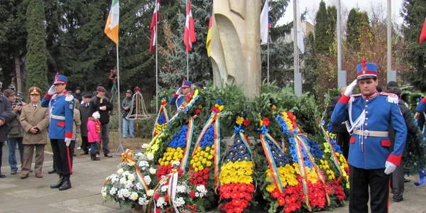 Ziua Nationala la Suceava