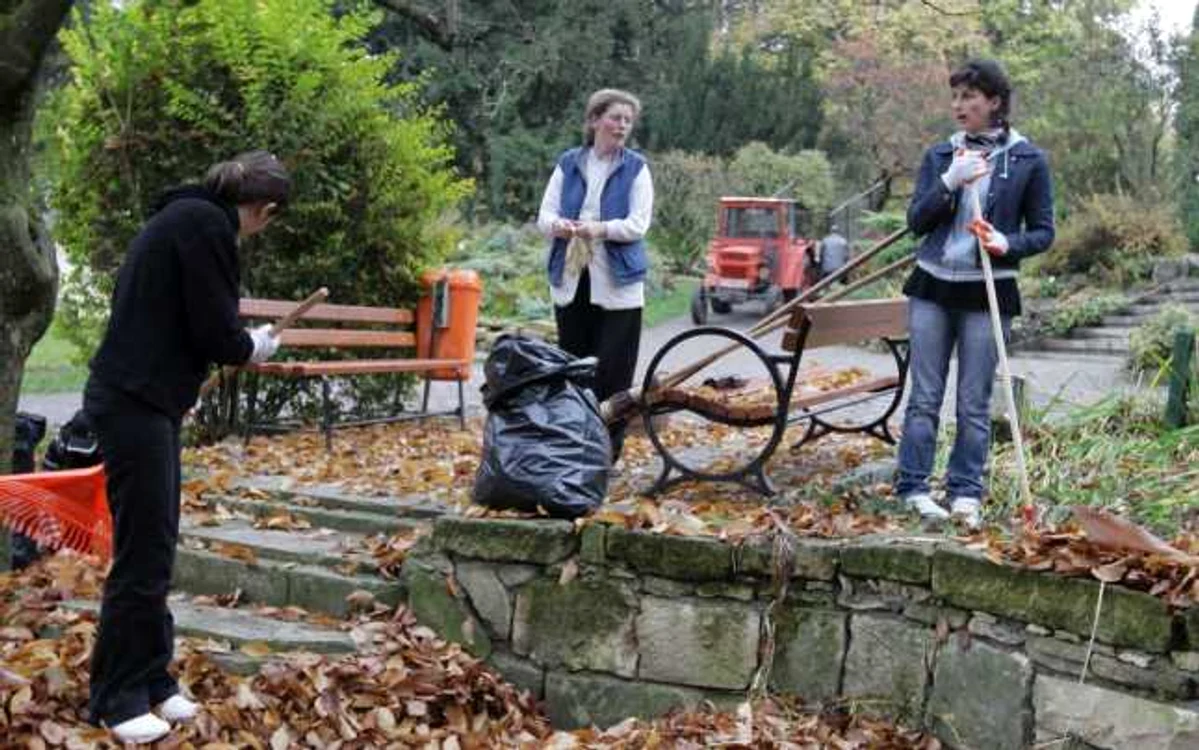 Sute de voluntar sunt aştepaţi FOTO Arhivă