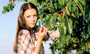 femeie cirese2121 0 jpeg