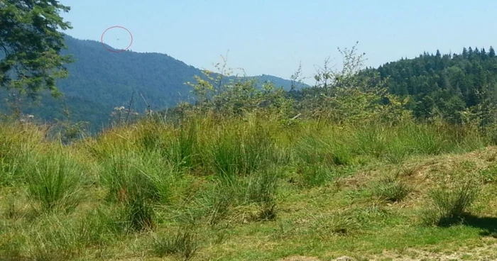 Planorul dispărut a fost văzut ultima oară de către o turistă. FOTO MAI