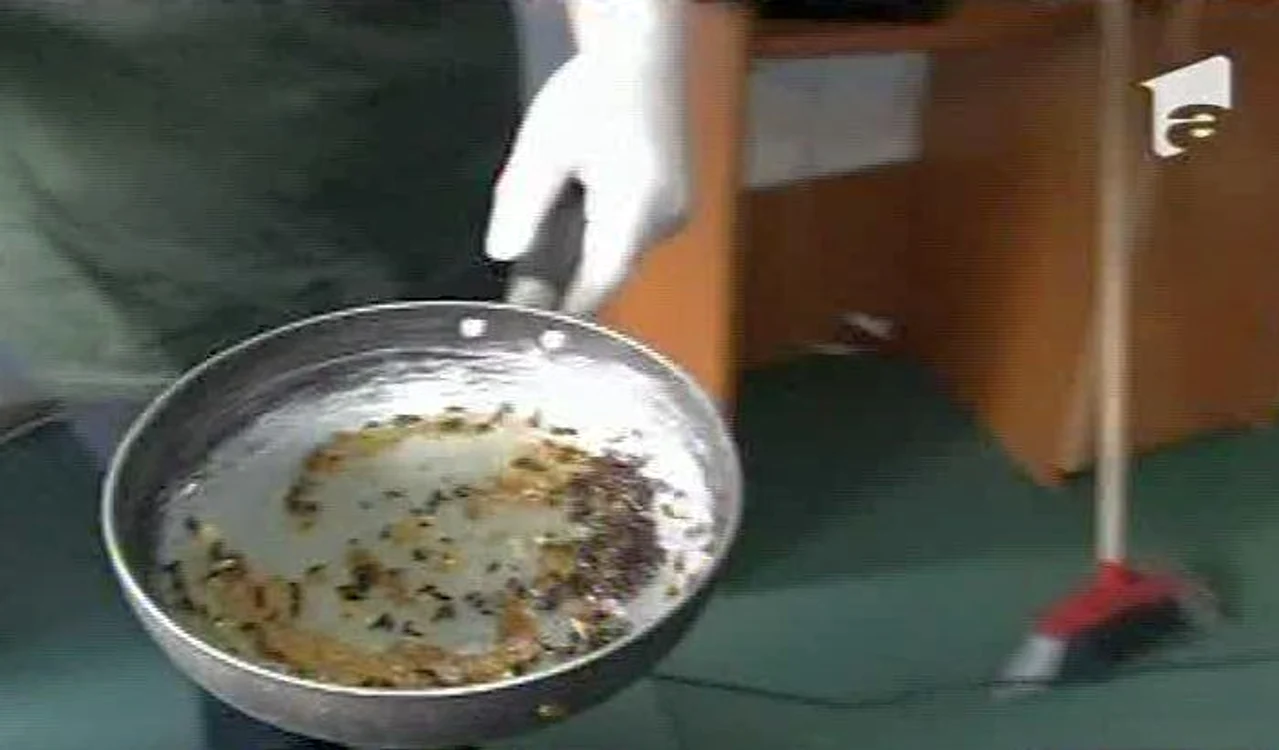 Daniela Gyorfi, şocată de mizeria din casa Ioanei Tufar (Foto: captură video Antena 1)