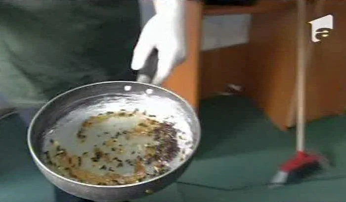 Daniela Gyorfi, şocată de mizeria din casa Ioanei Tufar (Foto: captură video Antena 1)