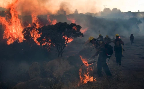 Patru pompieri vor fi instruiţi de specialişti americani pentru a face faţă incendiilor din păduri FOTO Adevărul
