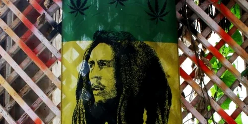 bob marley