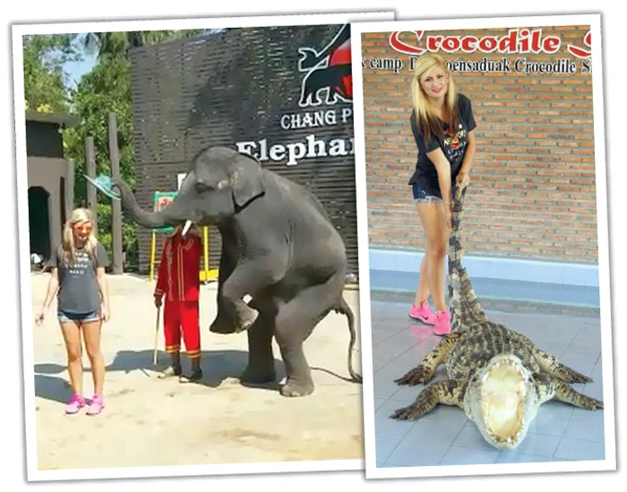 
    Solista este o  femeie tare  curajoasă  