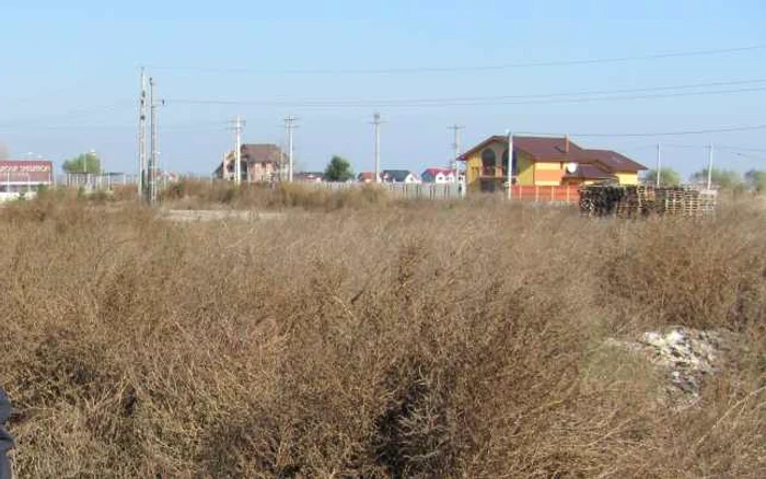 Mii de hectare de teren au rămas necultivate