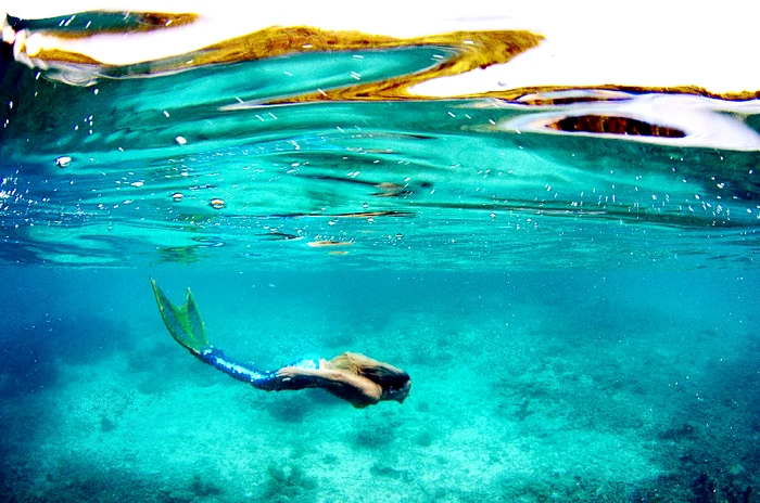 Linden Wolbert se comportă că o sirenă adevărată. (Photoland/Caters)