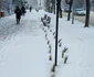 Trotuare necurățate Bacău FOTO Neculai Gafiuc (2) jpg