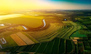 stefan voda wiki jpg