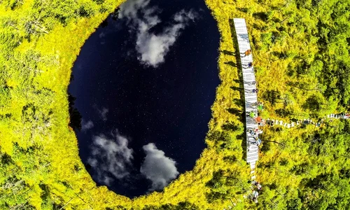 1 g0080638 ignacz szabi mohos jpg jpeg