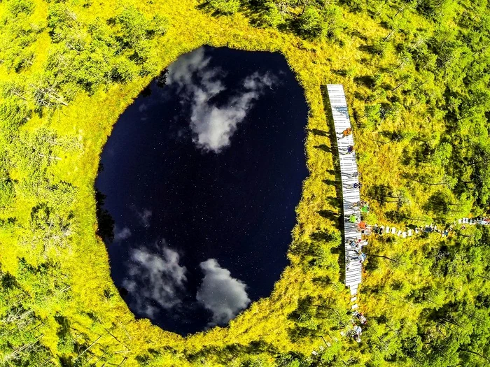 1 g0080638 ignacz szabi mohos jpg jpeg