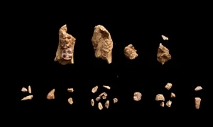 Arizona State University jpg