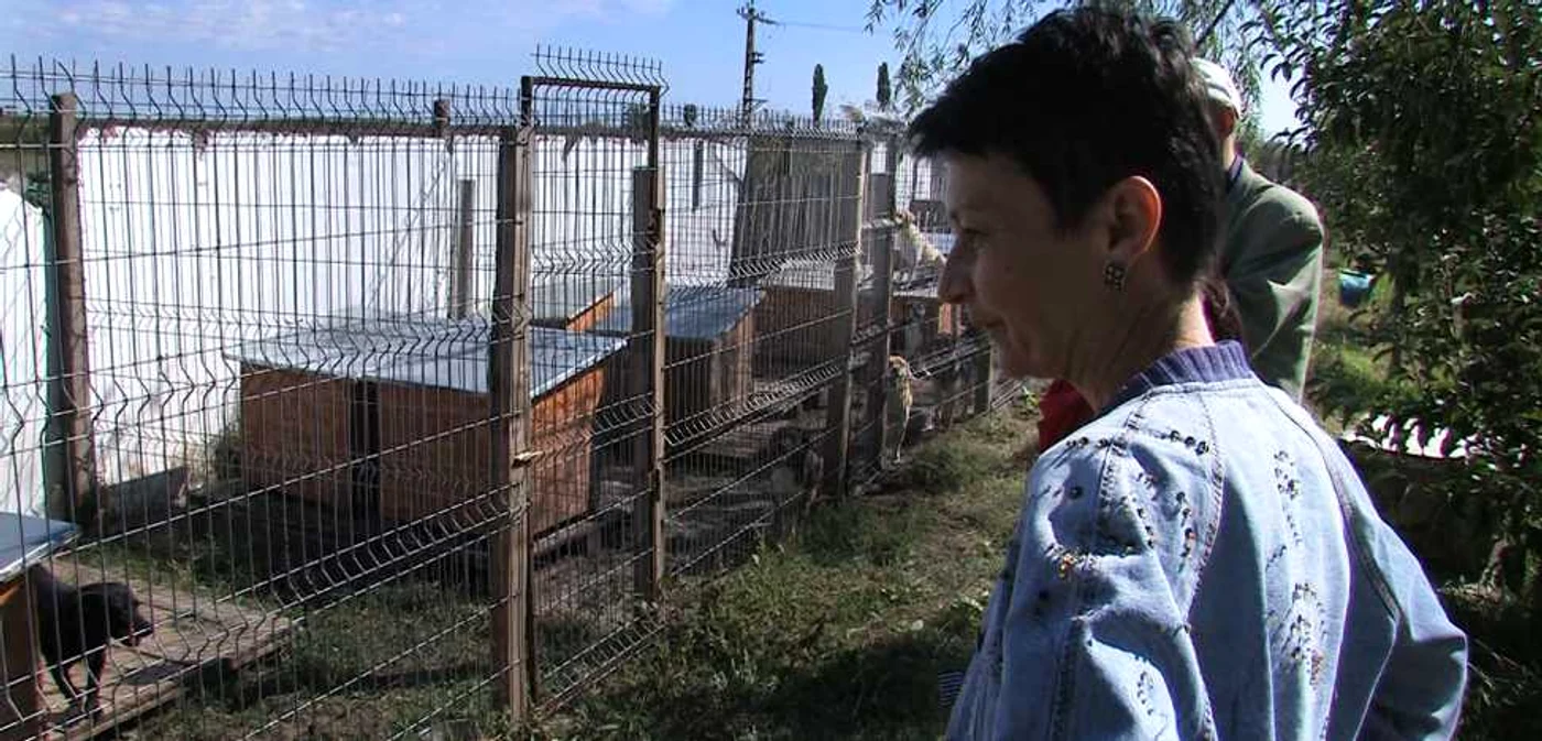 Adăpostul funcţionează de peste opt ani