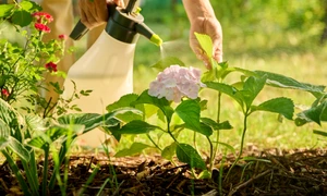 gradinarit, foto shutterstock jpg