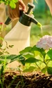 gradinarit, foto shutterstock jpg
