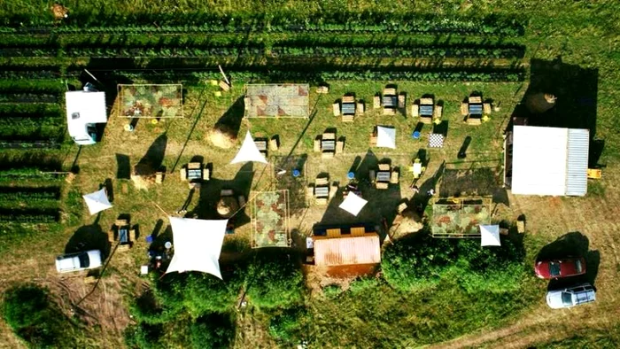 Zone de relaxare pe pista de bicicilete Timişoara-Serbia