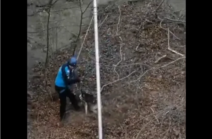 Operațiunea de salvare a durat o jumătate de oră. FOTO captura video FOTO Focus TV