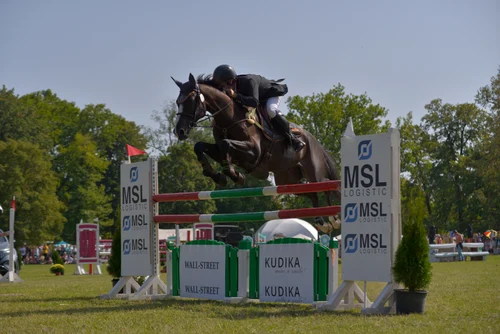 Karpathia Horse Show
