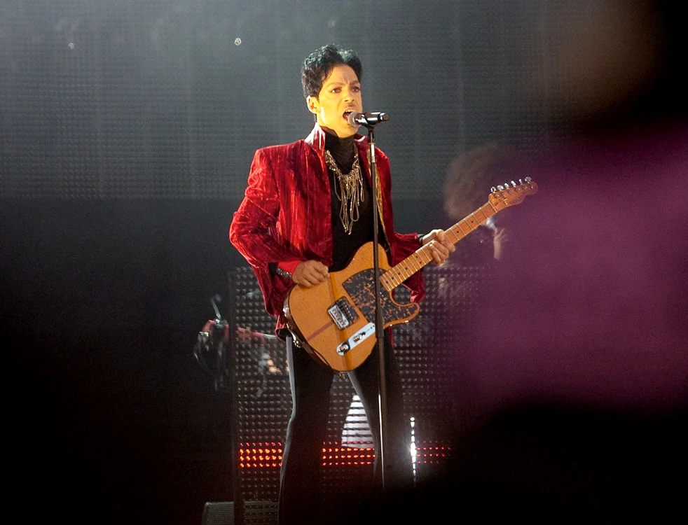 
    Prince a lansat, în septembrie 2014, două albume - "Art Official Age" şi "Plectrumelectrum"Foto Click!  