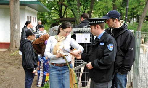 1 48980 original jpg jpeg