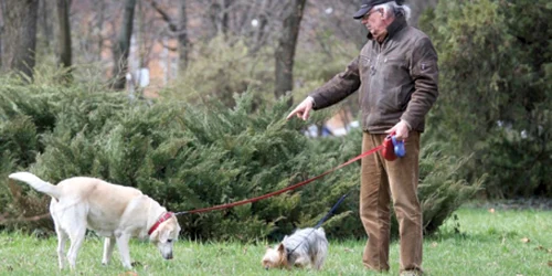 Agenții comunitari cu ochii pe orădenii care calcă iarba