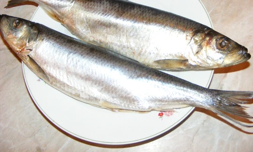 Cel mai sănătos peşte din România jpeg