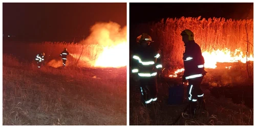 incendiu vladeni vegetatie