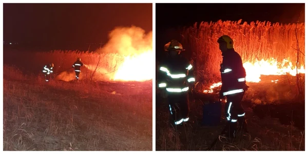 incendiu vladeni vegetatie