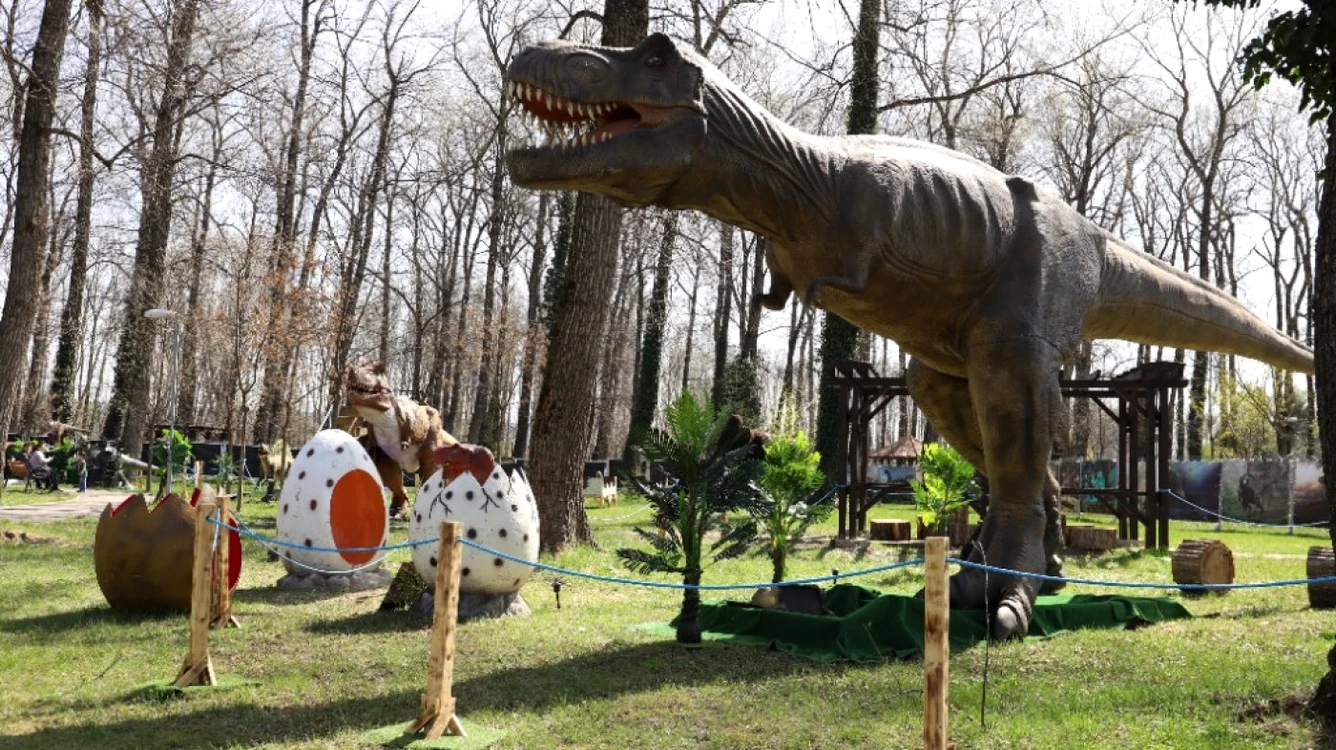 Spectacol de sunet şi culoare, pe parcursul a trei zile,  la „Simfonia Lalelelor”. Ce aduce nou ediţia cu numărul 45 a festivalului de suflet al pite;tenilor