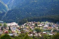 poiana tapului jpg