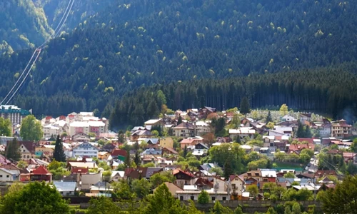 poiana tapului jpg