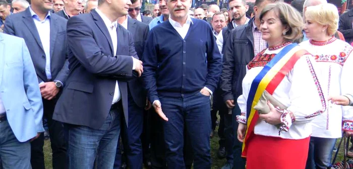 sambra oilor