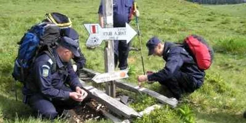 La acțiune au participat jandarmi montani