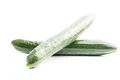 shutterstock 2291508003 jpg